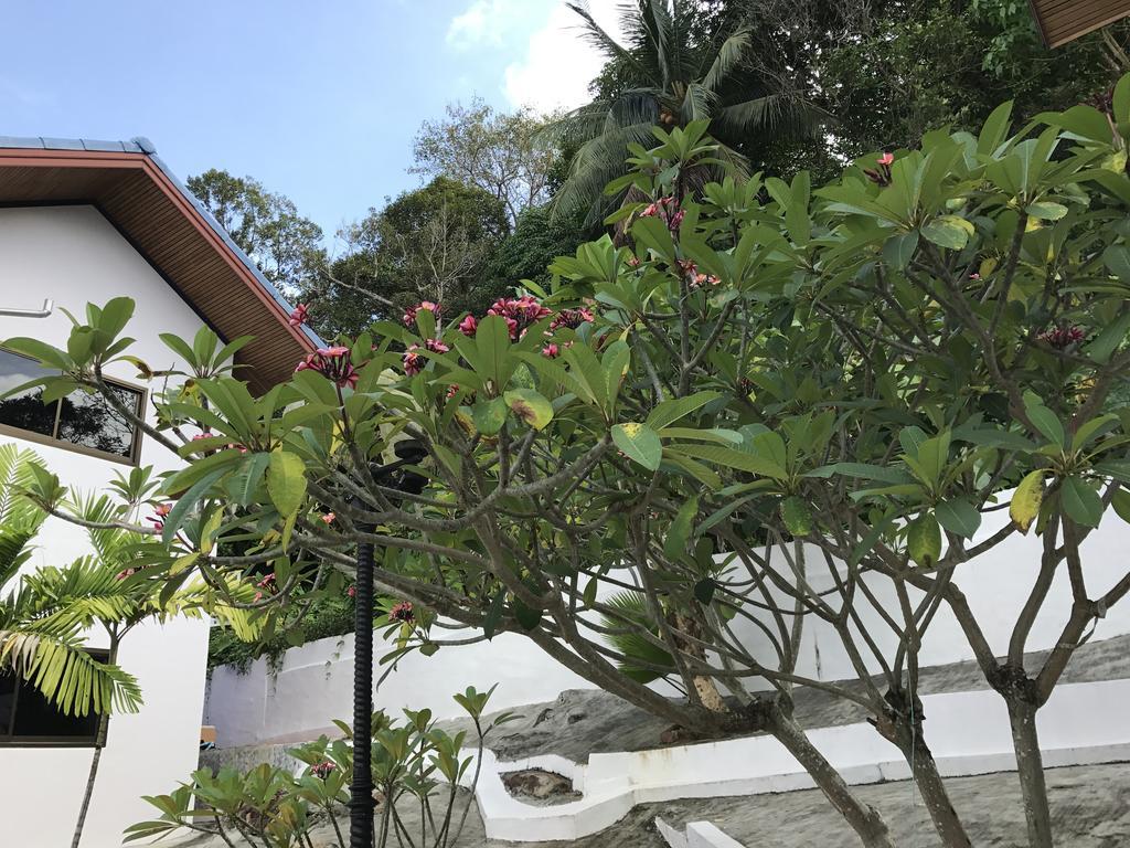 Rabbit Mansion2 Apartment Patong ภายนอก รูปภาพ